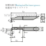 Boring tool for inner groove