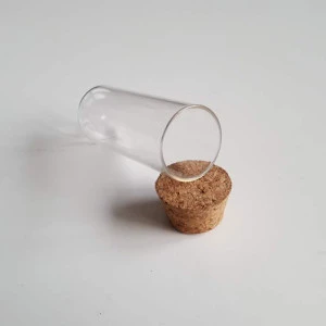 Borosilicate glass test tube with cork