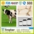 Import Bovine Colostrum Powder  Chewable Tablets from China