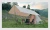 Import canvas tents camping outdoor  outdoor luxury glamping pod cotton canvas pyramid tent camping Tipi Desert Teepee tent from China