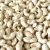 Import Cashew nut ww240 from India