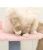 Import Cat Climbing Tree Pet Supplies Products Cat Nest, Cat Scratching Pillar Hammock Large Cat Jumping Platform, Cat House Toy Villa Condo from China