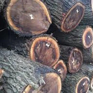 Cheap Walnut Logs For Sale