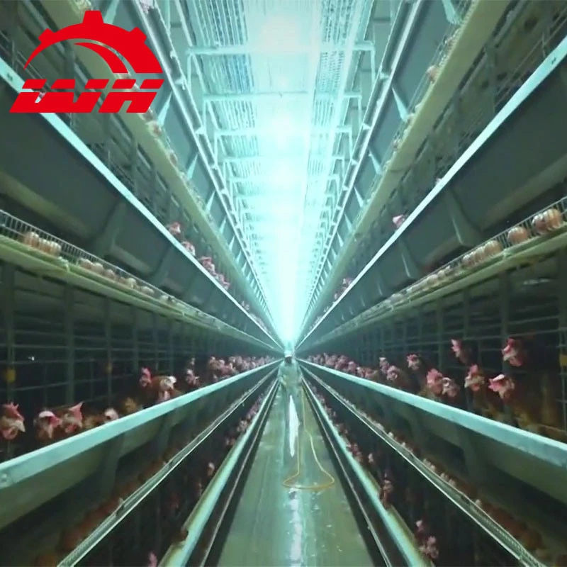 chicken layer cage poultry battery cage for chicken farms