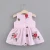 Import Children Boutique Clothing Girls Dresses Summer no Sleeve Baby Dresses from China