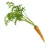 Import China Fresh Carrot For cooking from China