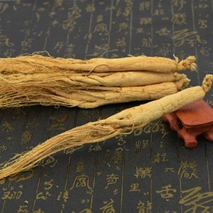 china ginseng roots for sale raw crude herbs medicine natural ginseng