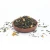 Import Chinese alpine jasmine green tea leaves support private OEM factory direct sales flower iaso tea 500g from China