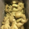 Chinese Shandong Fresh Ginger 2020 the Newest Crop