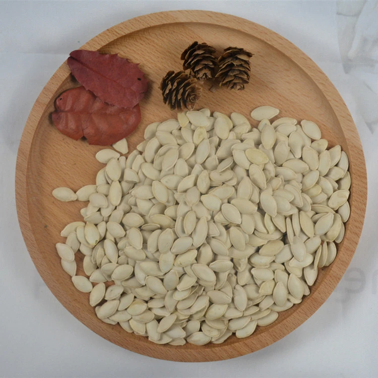 Chinese snow white pumpkin seeds wholesale per ton price
