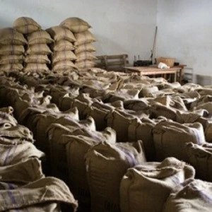 Cocoa Beans- from Cote D Ivoire For Sale