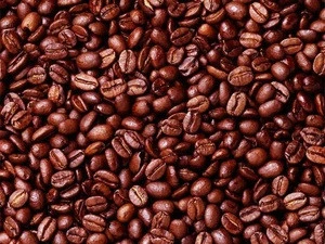 Cocoa/ Cacao/ Chocolate bean for sale