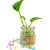 Import colorful magic water ball bio gel water beads decorative vase fillers free sample supply from China