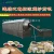 Import Continuous roller seeds/nuts roasting machine from China