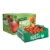 Import Corrugated Paper Packaging Gift Boxes Shipping Carton Apples Oranges Kiwi Fruits Grapes Strawberries Cherries Papata vegetables from China
