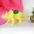 Import creative plastic flowerpot mini triceratops flowerpot cute cartoon dinosaur shape flowerpot from China