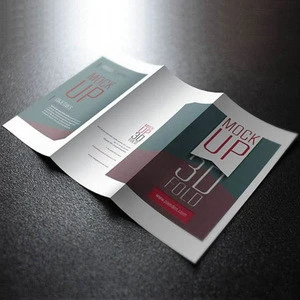 Custom cheap offset printing matte laminate accordion fold brochure printing