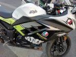 Custom vinyl motorcycle sticker