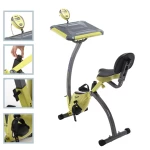 Customized Lightweight Exercise Bike Physical Exercise Bikes Horizontal Bicycle