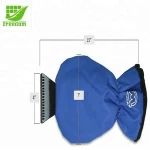 Customized Plastic Car Window Ice Scraper