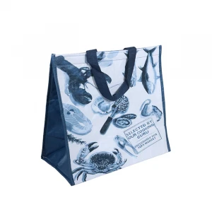 Customized Reusable insulated lunch bag Waterproof Laminated Non Woven Cooler Bag