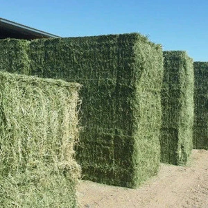 Dehydrated Alfalfa Or Alfalfa/Lucerne Hay Bales / Timothy Hay Bales