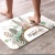 Import Diatomite foot pad absorbent water anti-skid floor shower room foot pressure mat from China