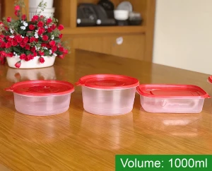 Disposable Plastic food container 1000ml