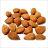 Dried top quality sweet bulk apricot kernel with shell /without shell