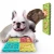 Import Durable 4-pack Pet Fun Interactive Slow Feeder Dog Food Plate Bowl Lick Mat from China