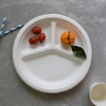 Eco-friendly plate compostable sugarcane fiber bagasse plate biodegradable round compartment plate