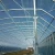 Import Economic Plastic Film Tempered Single-span Agricultural Glass Greenhouse Connected With Gutter from China