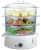 Import electric food steamers 10L from China