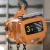 Import Electric hoist from China