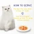 Import Explosive New Wet Food Cat Pouches Natural Ingredients Premium Quality Wet Cat Food from China