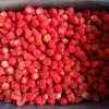 Export China Hot Sale Frozen  A Grade Sweet Charlie Strawberry Whole Strawberry frozen
