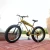Import Factory Cruiser Beach Fat Tyre Mountain Snow Bike/26&quot; Inch Fat Tire MTB Bicycle from China