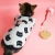 Import Factory directly sell high quality pet clothes for cat from China
