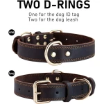 Factory Wholesale Eco-friendly High Quality Luxury Solid Colorful Genuine Leather Dog Collar