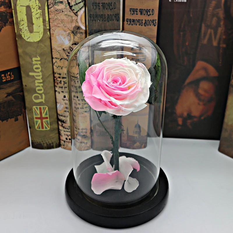 Factory Wholesale High quality Glass Dome with Rose Preserved Fresh Flower Immortal Rose Eternal Life Rose in Glass Dome