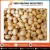 Import Food Grains Organic Soybean Seeds from India