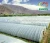 Import Foshan kunyu Agricultural tunnel film poly house agriculture greenhouse from China