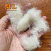 free sample lowest price carded sheep wool natural wool fiber 100% sheep wool waste for carpet and fertilizer