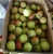 Import fres yellow/green  pear from china from China