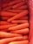 Import fresh carrot from China