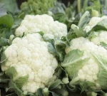 Fresh Cauliflower