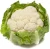 Import Fresh Cauliflower from India