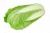 Import Fresh Celery Cabbage for sale from Ukraine