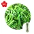 Import Fresh frozen green asparagus for sale from China