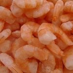 Fresh Frozen Shrimp